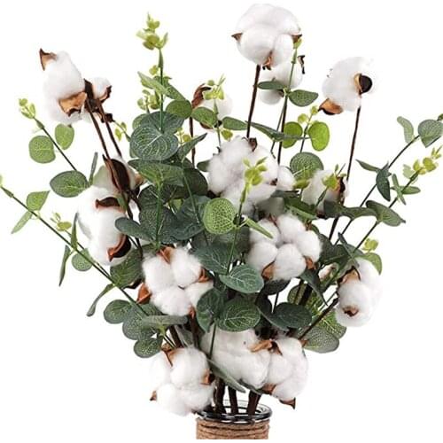 Naturally Dried Cotton Stems 4 Cotton Heads with Eucalyptus Leaves Artificial Flower for Home Farmhouse Style Floral Decoration