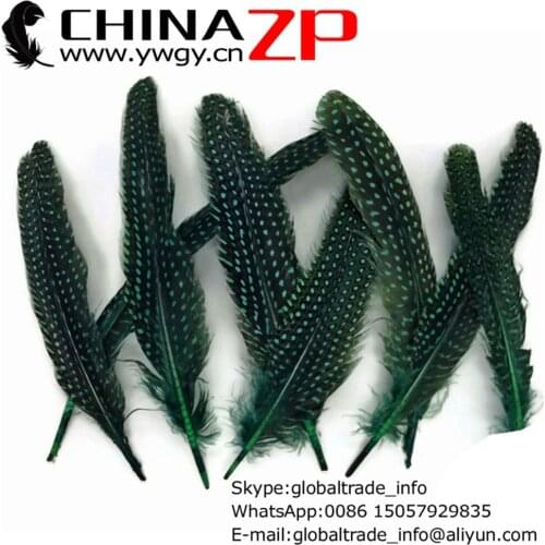 CHINAZP Factory www.ywgy.cn 15~20cm Length 200pcs/lot Polka Dot Dyed Peacock Green Guinea Fowl Wing Feathers