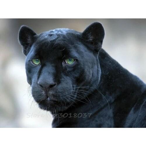 Diamond Mosaic 5D Diy Diamond Embroidery Stunned The Panther Diamond Painting Cross Stitch Floral Rhinestone Decoration Stickers