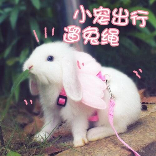 Walking the rabbits traction rope walking the rabbits rope sliding the rabbits vest type outwear small pet Dutch pigs rope
