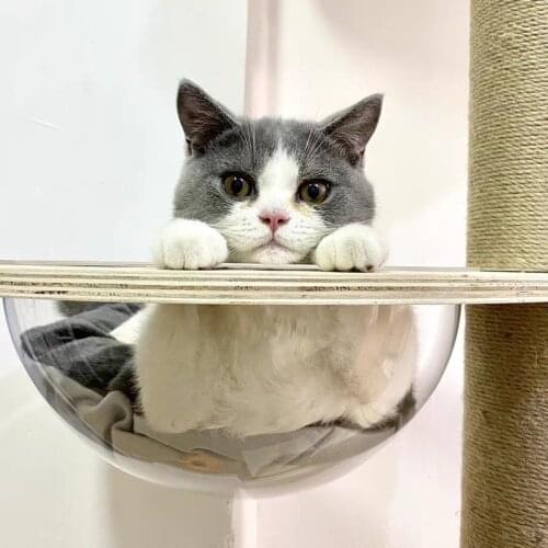 Space Capsule Cat Litter Through Sky Column Accessories Diy Cat Climbing Frame To Increase Homemade Cat Frame Cat Tree Acrylic