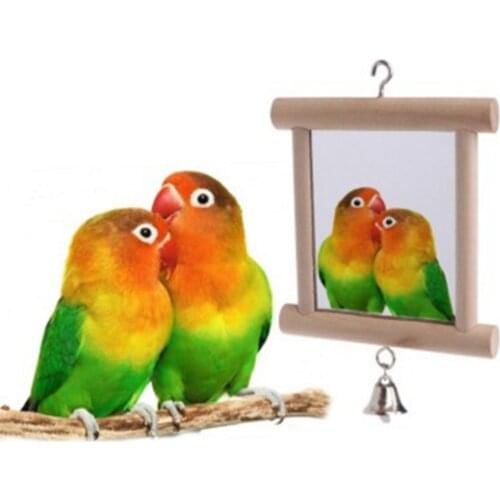 Pet Bird Toys Mirror Bell Wooden Swing Play Toys Double Side Mirror Hang In Cage Parrot Parakeet Cockatiel Birds Accessoires