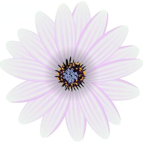 13cm x 12.9cm for Daisy Flower Vinyl Car Wrap Decal Personality Car Stickers Motorcycle Surfboard Bumper Graphics