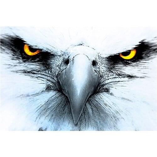 5D DIY square round Diamond Painting Hawkeye Cross Stitch Diamond Embroidery Pattern Rhinestone home decor J0636