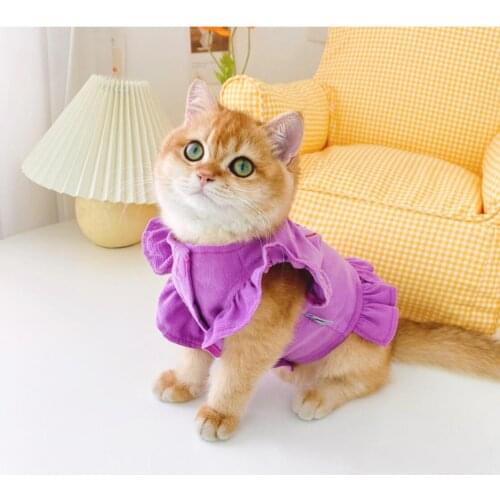 Cat Clothes for Small Cats Clothing Pet Dog Cat Coat Cotton Jacket Clothes for Cats Chihuahua Pet Outfit