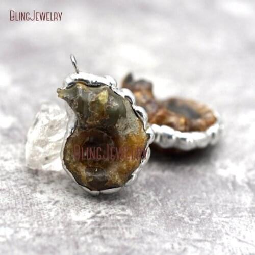 Silver Solder Pendant Natural Ammonite Sea Snail Wheck Conch Charm Siphonaria Nautilus Shell Pendant PM29274