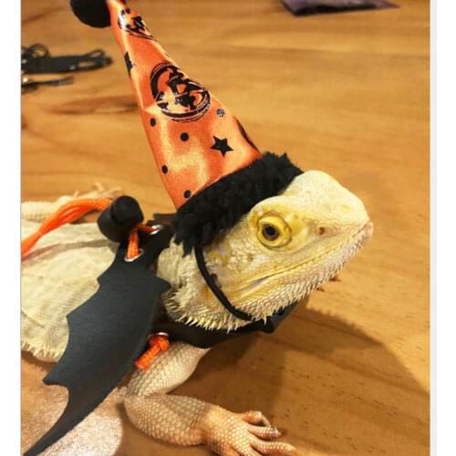 Rabbit Hamster Pet Christmas Hat Lizard Santa Hat Xmas Cosplay Costume Reptile Party Role Play Dress Up Clothes Pet Photo Props