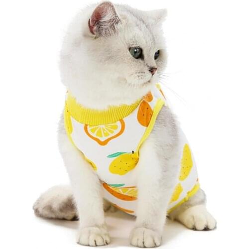Cat Postpartum Cloth Cat Clothes Recovery Suit Fruit Pattern Printing Anti Licking Cotton Wounds Recovery Weaning Suit for Care