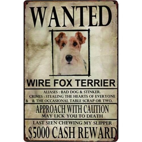 [ Kelly66 ] Wire Fox Terrier Dogs Wanied Metal Sign Tin Poster Home Decor Bar Wall Art Painting 20*30 CM Size y-2090