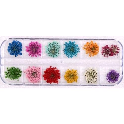 12 Colors 3d Nail Art Decoration Real Dry Dried Flower For Gel Nail Art Tips Natural Petal Floret Manicure Tool Nail Supplies