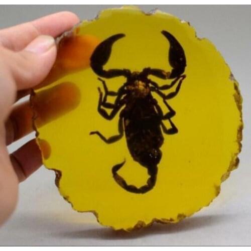 Rare Collectibles Old Decorated Handwork Amber Inside Scorpion Statue