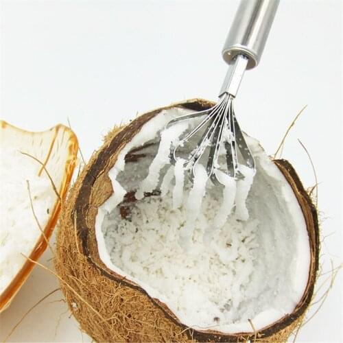 300pcs New Stainless Steel Coconut Shaver Digging knife Fish scale shaving Fish Scale Tool shredder Fruit Tools Kitchen Tools