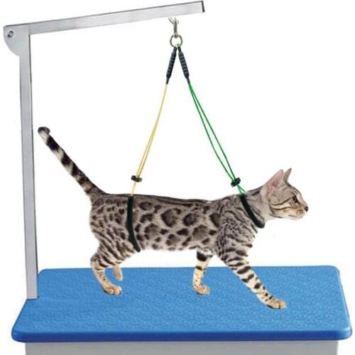 HobbyLane Stainless Steel Grooming Loop Table Arm Body Holder Rope Harness for Pet Dog Cat Random Color