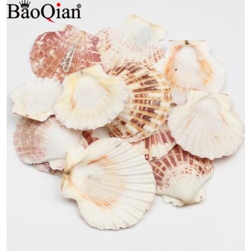 5pcs 40-60mm Natural Sea Shell Rainbow Scallop Coquillage Beach Decoration Marine Style Snow Seashells Embellishment Diy