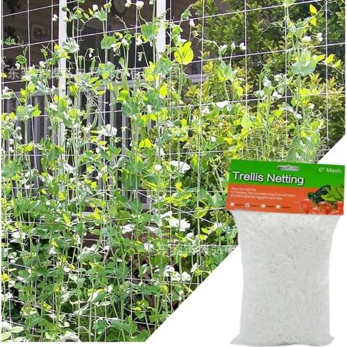 Plant Climbing Net Mesh Loofah Netting For Morning Glory Vine Flowers Garden Plants Climbing Net Cucumber Vine Grow Holder 40a