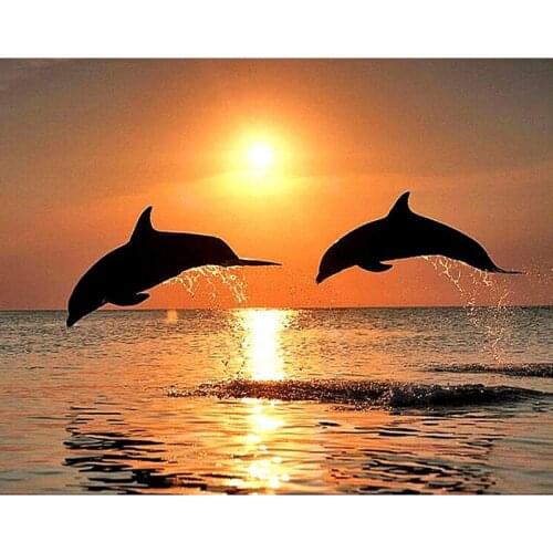 5D DIY Diamond Painting Dolphin Embroidery Diamond Painting Cross Stitch Sunset Water Dolphin Rhinestone Mosaic Painting