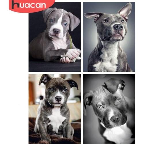 HUACAN 5D Diamond Painting Full Square Dog Picture Cross Stitch Needlework Embroidery Animal Rhinestone Painting Decoration