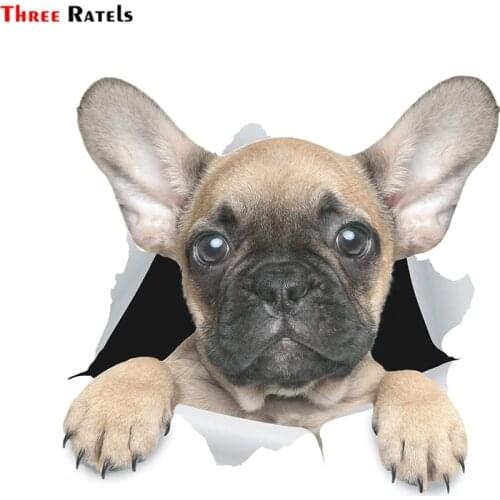 Three Ratels FTC-1083 3D Dog Stickers Cute French Bulldog Sticker For Wall, Fridge, Toilet And More