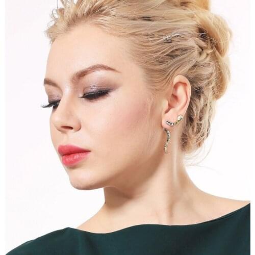 Fresh Little Snake Shaped Earrings for Women Cute Personality Girl Face Thin Earrings European and American Fashion Jewelry