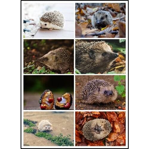 LIPHISFUN Needlework Diamond Painting 5d Embroidery Square/round Drill Full Home Decor Cross Stitch DIY Animal Hedgehog