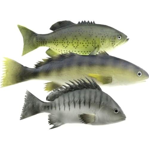 Gresorth 3 PCS Sea Creatures Fake Fish Artificial Animal Toys Food Model Shop Display Decoration