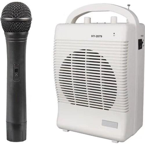 Professional Amplifier Car Subwoofer Outdoor speakers With mic