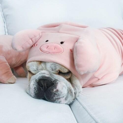 Dog Clothes Pink Pig