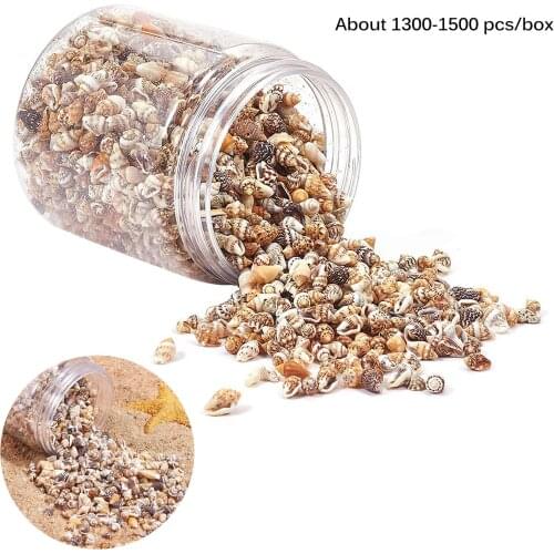 1300-1500pcs Mix Natural Sea Shells Conch Beach Decor Craft Diy Marine Style Fish Tank Seashells Conch Embellishment
