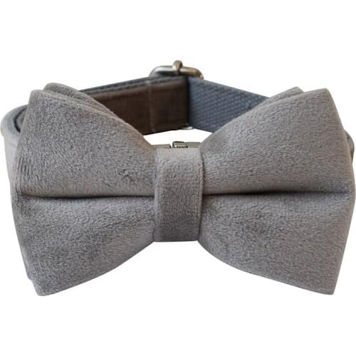 Flannelette 12s Unique Printing Pet Collar Dog Leash Dog Accessories For Pitbull Bull Terrier Rottweiler