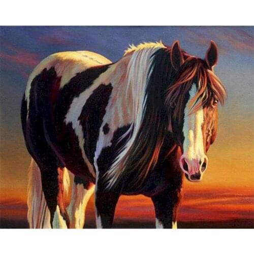 Oil Picture By Numbers Horse On Canvases With Framed DIY Craft Kits Handmade Acrylic Paint For Adults Coloring By Numbers Decor