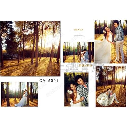 Photographic Camera Background Autumn Forest Golden Sunshine For Photo Shoots Real Backdrop for Photo Studio Custom Background