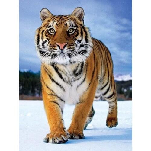 DIY 5D Diamond Mosaic Tiger Diamond Painting Cross Stitch Kits Animal Diamond Embroidery Patterns Rhinestones Handmade Hobby