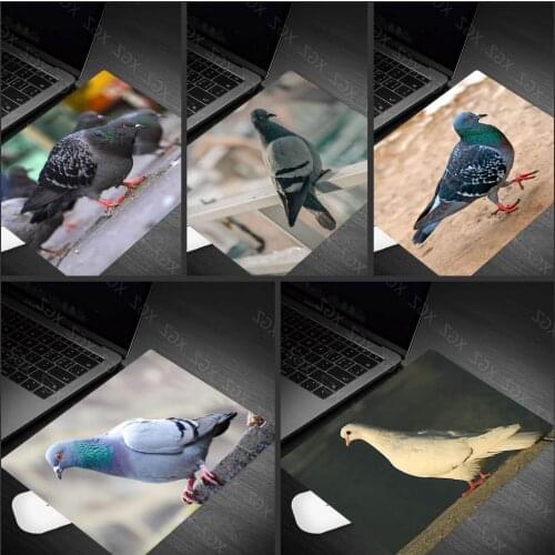 Yzuoan High Quality Animal Pigeon Pictures Speed Version Gaming Mouse Pad Gamer Small Size Mouse Keyboards Mat Desk Mousepad