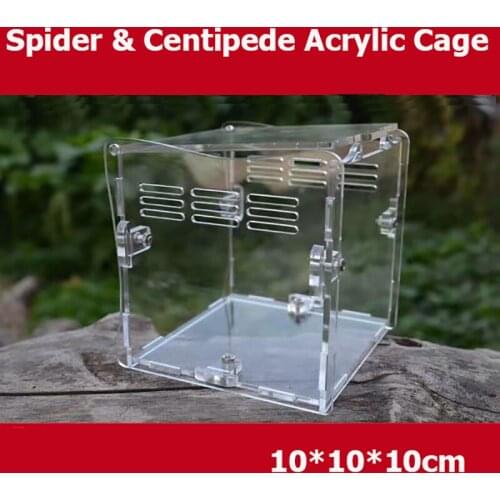 Acrylic Spider Centipede Scorpion Cage Reptile Insect Nest (10*10*10cm)