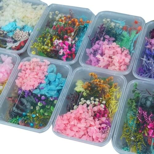 Newly Pressed Flower Mixed Dried Flowers Material DIY Art Floral Decors Collection Gift Craft DIY Home Decoration