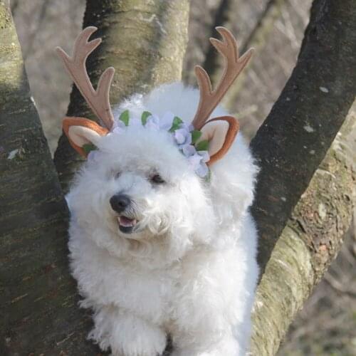 Christmas Reindeer Cat Hat Christmas Reindeer Cat Hat Short Plush Cats Dogs Pet Accessories Funny Festival Decoration Cute Decor