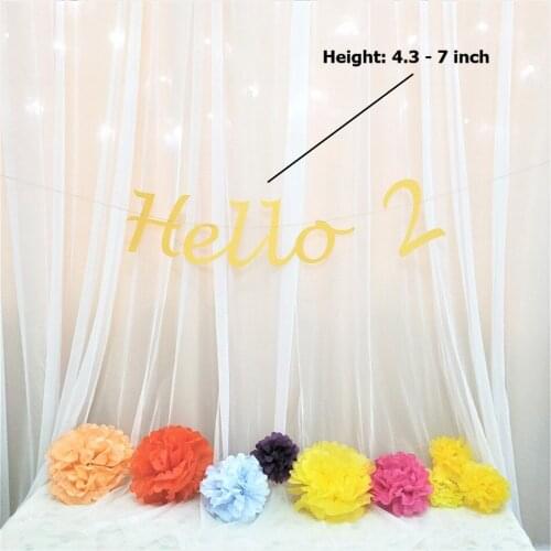 Hello 2 Glitter Banner Letter Paper DIY Hanging Decorations Happy Birthday Party Decorations Photo Prop 2 Celebrate