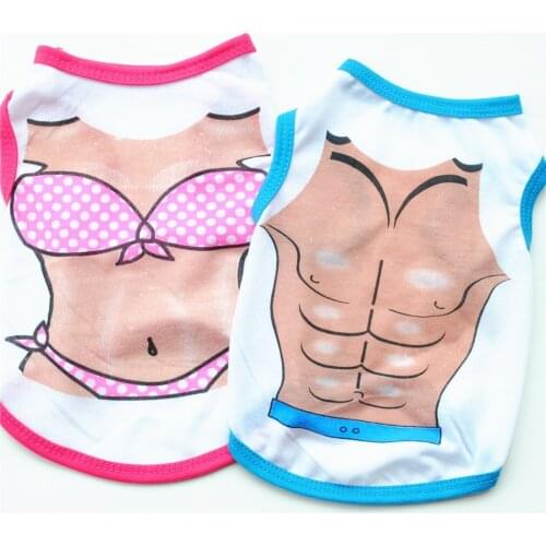 Spring Soft Cartoon Pet Clothes for Small Dogs Cats Soft Cotton Cat Dog Coat Jacket Puppy Clothing Outfits Chihuahua Pug Costume