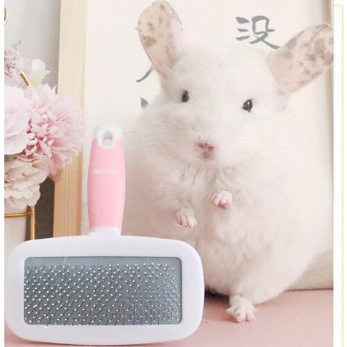 Груминг OIMG China At AliExpress