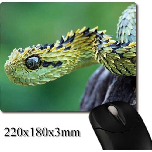 Snake eyes beautiful as jade image printed Heavy weaving anti-slip rubber office mouse pad Coaster Party favor gifts 220x180x3mm