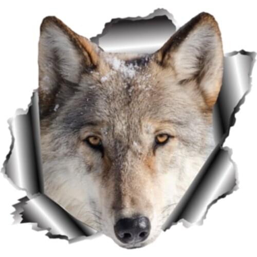 Coolest Wolf Funny 3D Animal Car Sticker Rear Windshield Decal Car Body Window Waterproof Accessories