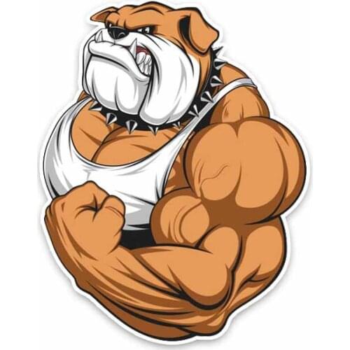 Creative Fine Decal Hot Personality Bulldog Full Color Bodybuilder Colored High Quality Car Sticker Decoration PVC 14*11cm