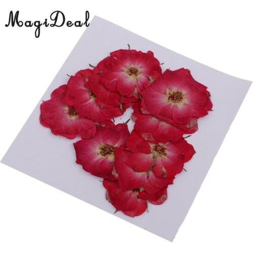 MagiDeal 10 Pcs Multiple Beautiful Natural Real Rose Violet Dried Pressed Flowers for DIY Scrapbooking Crafts Red for Phone Case