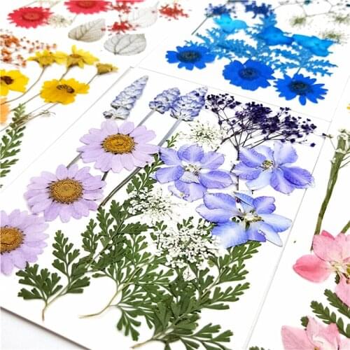 Making Necklace Pendant Jewelry Candle Diy Plants Craft Dried Real Flower