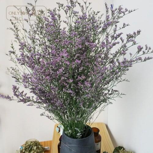 2pcs Sentimental grass Dried Flowers Bouquet Dry Naturally Real Flowers Non-Stars Dried Living Room Home