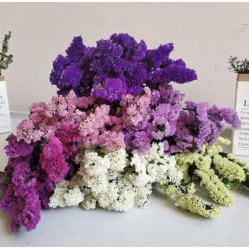 Purple Color Immortal FlowerNatural Dried Forget-me-not Flower Bouquet For Home Decor Mariage Wedding Christmas Accessories