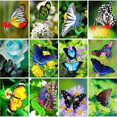 HUACAN 5D Diamond Painting Full Square New Arrival Animal Flower Diamond Embroidery Butterfly Rhinestones Decortion