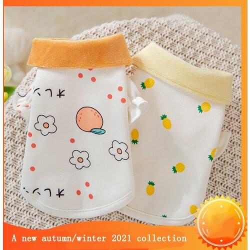 2021New Autumn and Winter Color Fruit Print Hoodie Small and Medium Size Dog Bipedal Clothes Spring Cat Pet Clothes