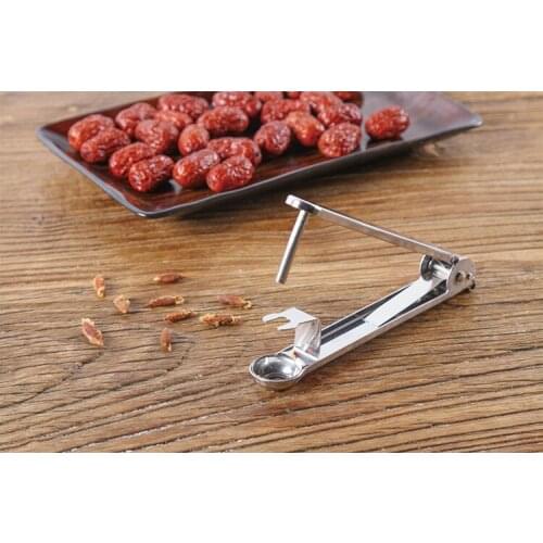 1PC 304 Stainless Steel Jujube Nuclearizer Core Picker Cherry Cherries Hawthorn Jujube Nuclear Tool Thicken OK 0751