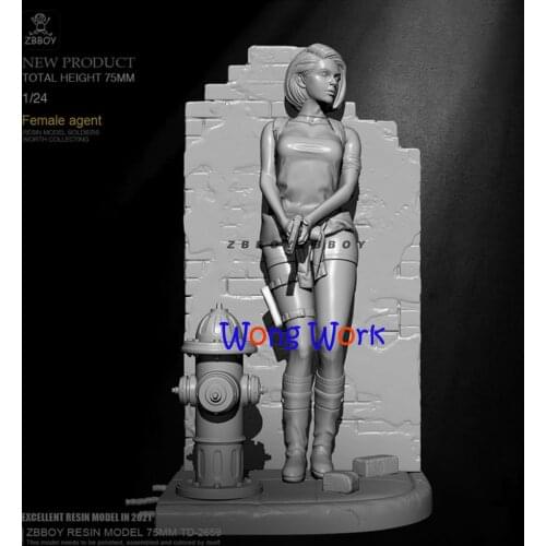 Wong Work Unpainted Resin H75mm 1/24 Unassembled Garage Kits GK Model Kit Figure TD-2659